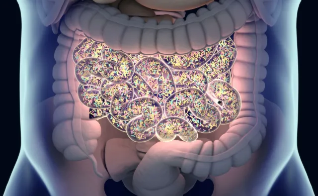 Bakterie jelitowe mogą zmieniać reakcję na leczenie nowotworów