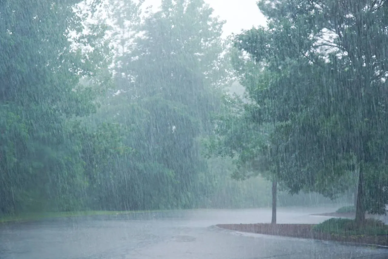 IMGW: W środę w całym kraju opady deszczu. Jaka temperatura?