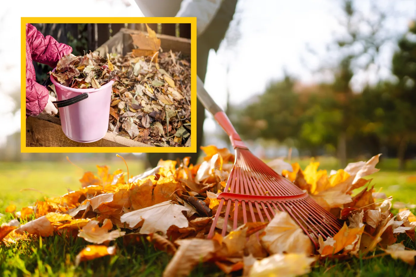 Co zrobić z opadającymi liśćmi? Wykorzystaj je w ten sposób, a ogród na tym zyska