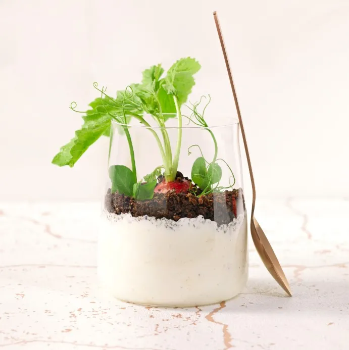 Dzień Serka Wiejskiego! Warto go jeść nie tylko na śniadanie [PRZEPISY]