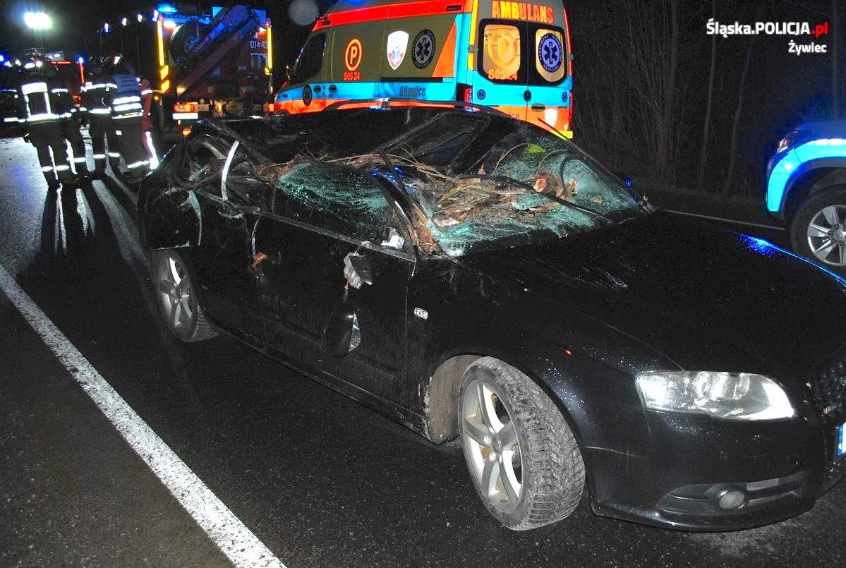 Drzewo runęło na drogę. 3 auta zmiażdżone, IMGW ostrzega przed silnym wiatrem