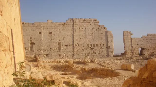 Archeolodzy odkryli "cud" w starożytnym egipskim grobowcu