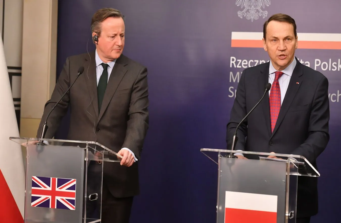 Radosław Sikorski, David Cameron