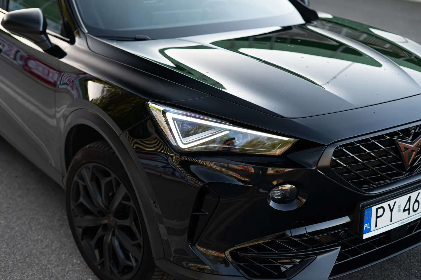 cupra-formentor-tribe-edition-38175710.jpg
