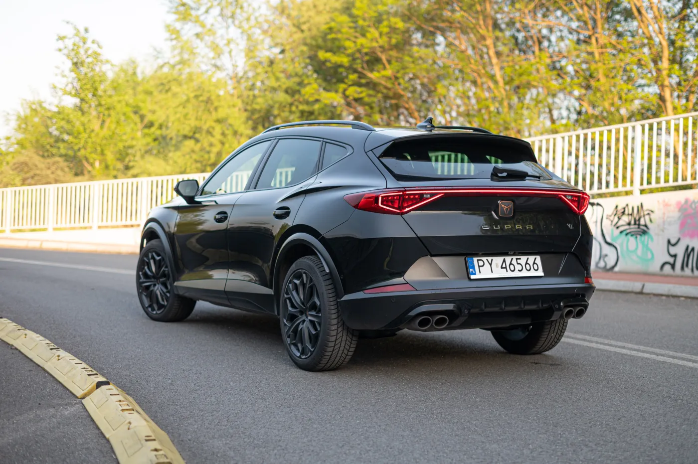cupra-formentor-tribe-edition-38175760.jpg