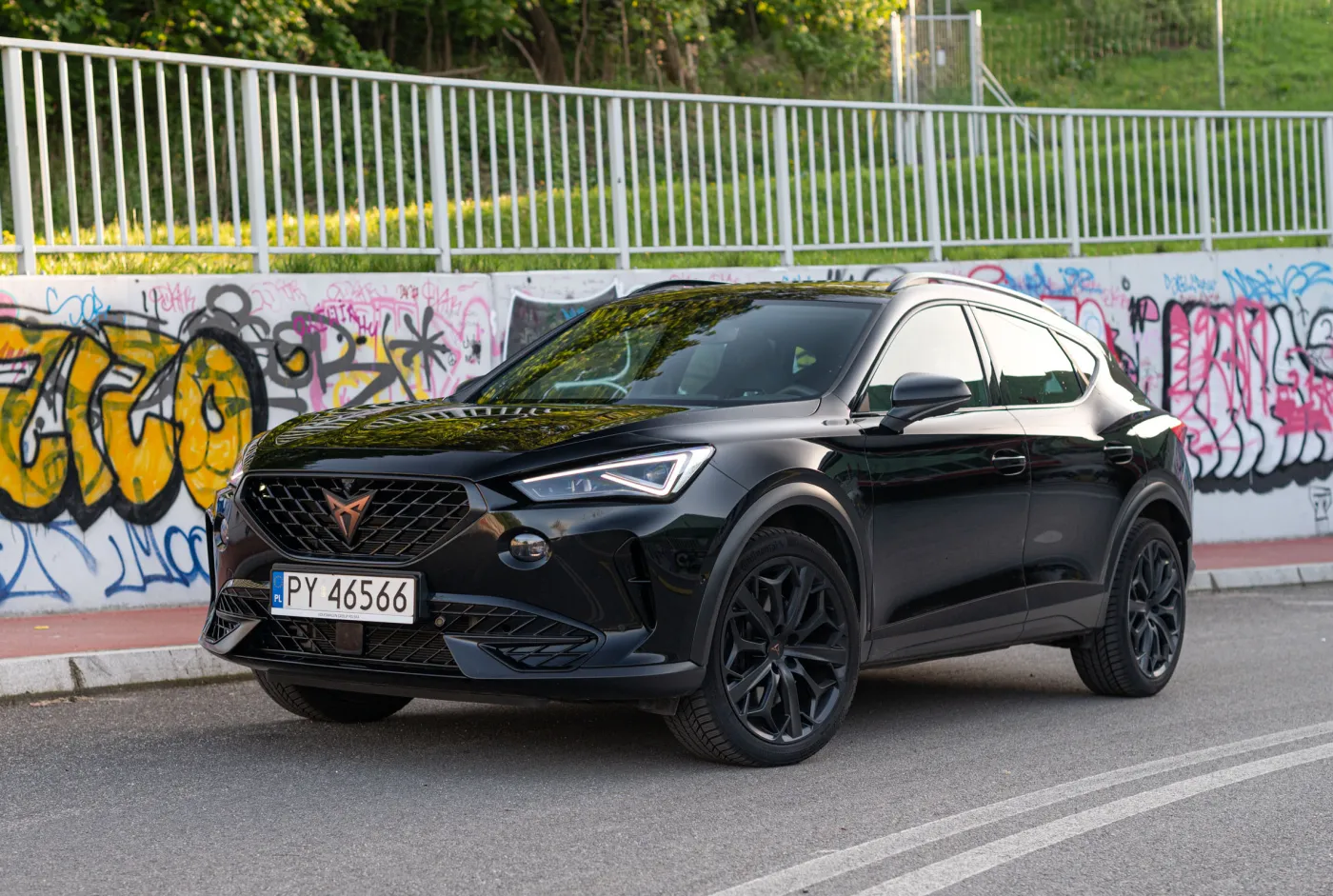 cupra-formentor-tribe-edition-38175787.jpg