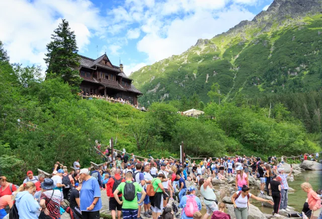 Wstrząsające nagranie z drogi do Morskiego Oka. Resort klimatu zajmie się zachowaniem woźnicy