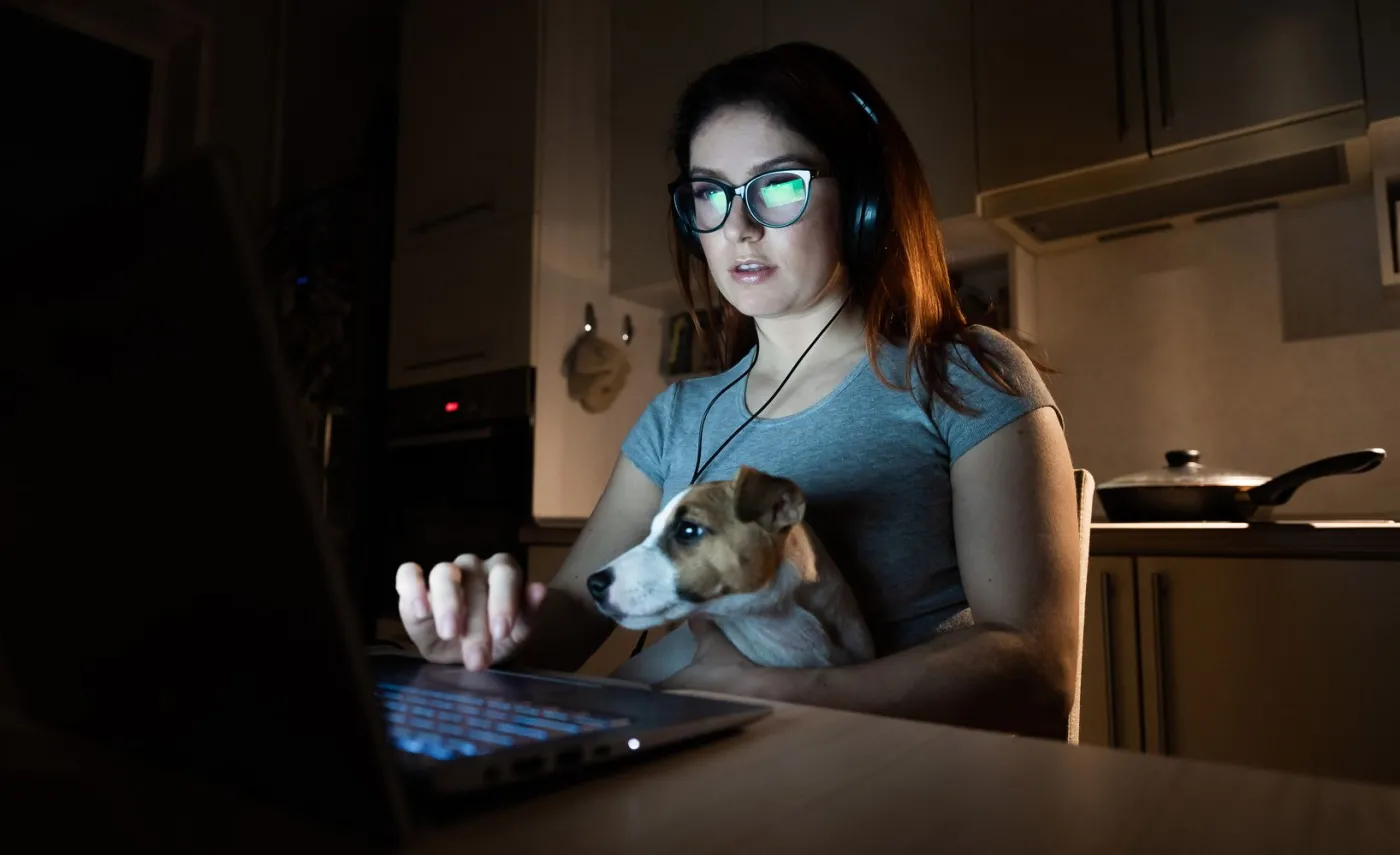 Tantiemy za porno i patostreaming? Projekt ma poważną wadę