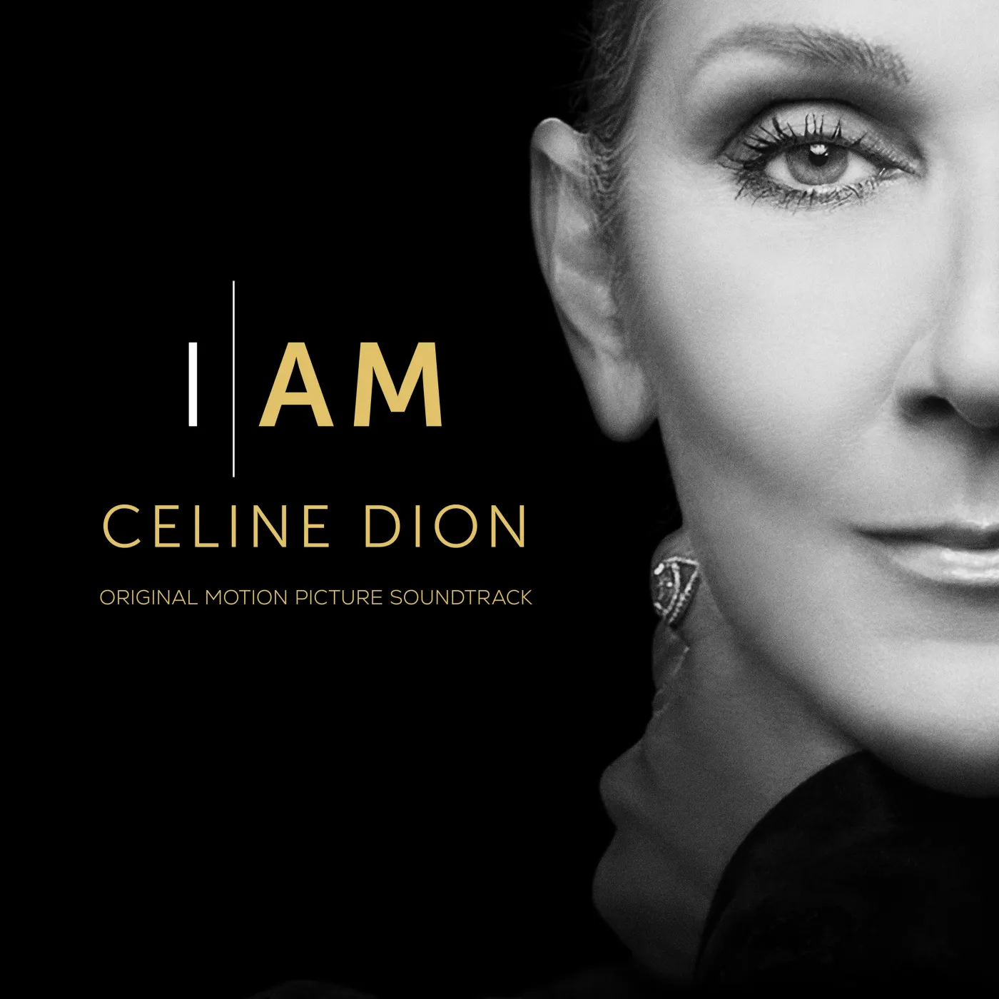 okladka-albumu-i-am-celine-dion-38203571.jpg