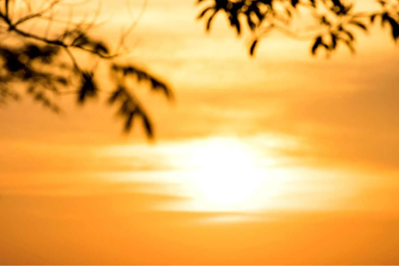 Rekordowe temperatury. Najgorętsze lato i 2. najcieplejszy rok w historii Europy