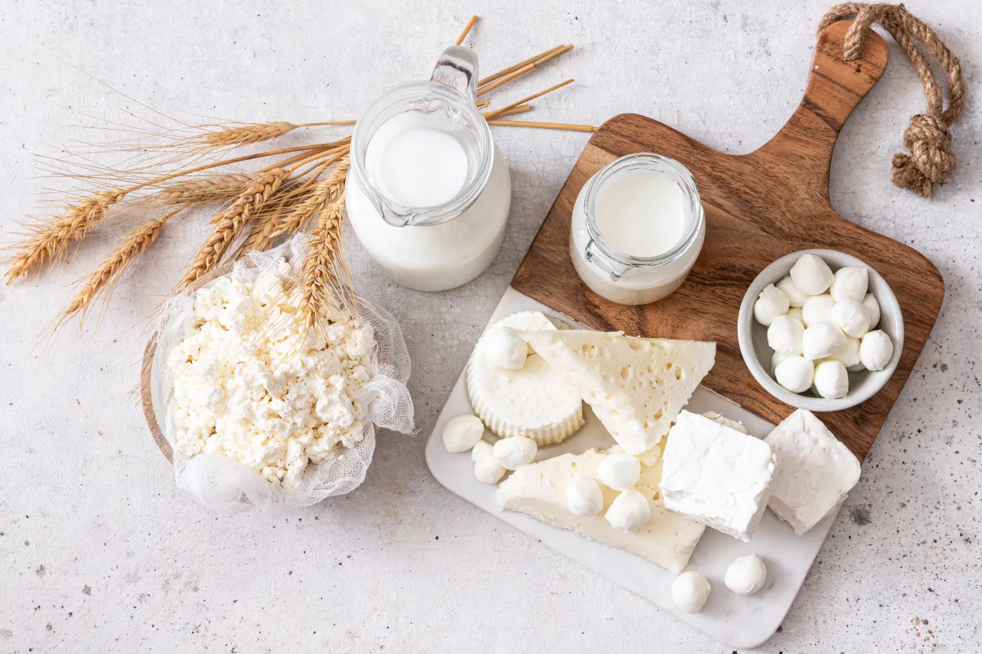 Fresh,Dairy,Products,(milk,,Kefir,,Feta,,Cottage,Cheese,,Mozzarella).symbols,Of