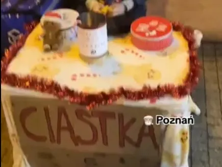 Poruszająca historia opisana przez 12-latka z Poznania okazała się oszustwem