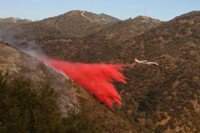 Pożary w Los Angeles. Blisko 1000 więźniów-strażaków walczy z ogniem