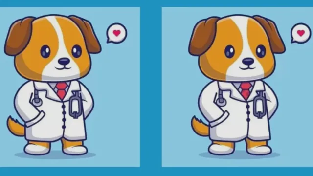 6 sekund i 3 różnice do znalezienia. Tylko mistrz da radę rozwiązać tę łamigłówkę