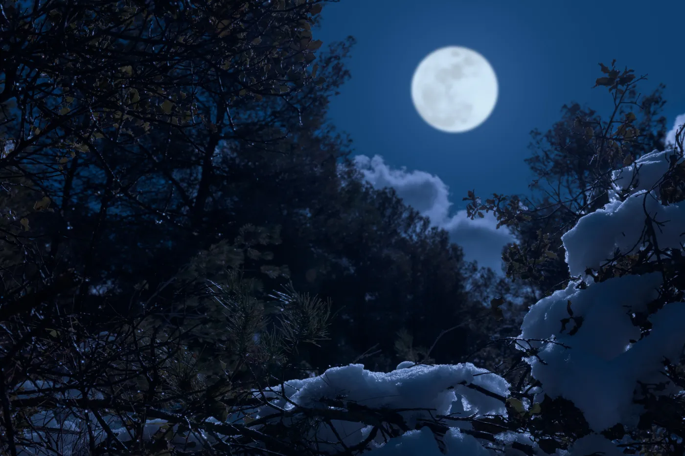 A,Cold,Full,Moon,Night,In,January,In,A,Spanish