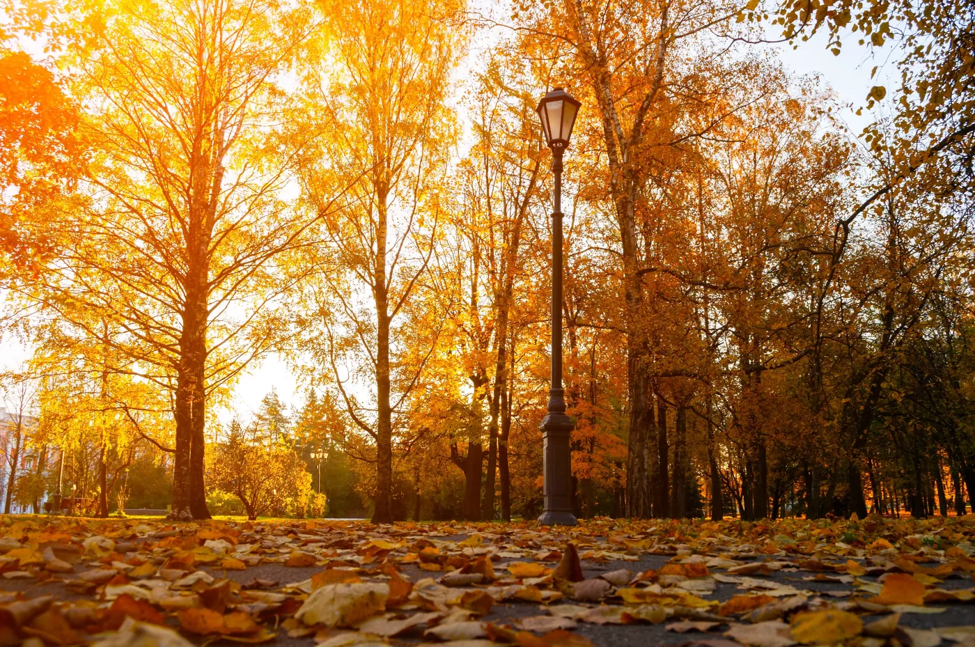 Cyklon Joshua będzie kierował w stronę Polski masy ciepłego powietrza. Prognoza pogody na czwartek, 23 października