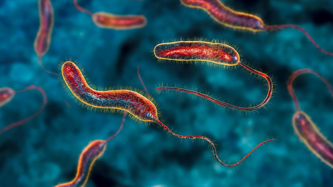 Epidemia w Afryce przybiera na sile. Tak źle nie było od 25 lat