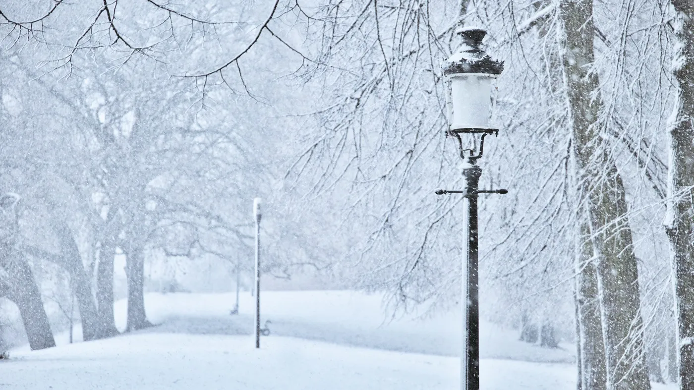 Ferie zimowe 2026 wystartowały. O tych obowiązkach muszą pamiętać organizatorzy wypoczynku dla dzieci