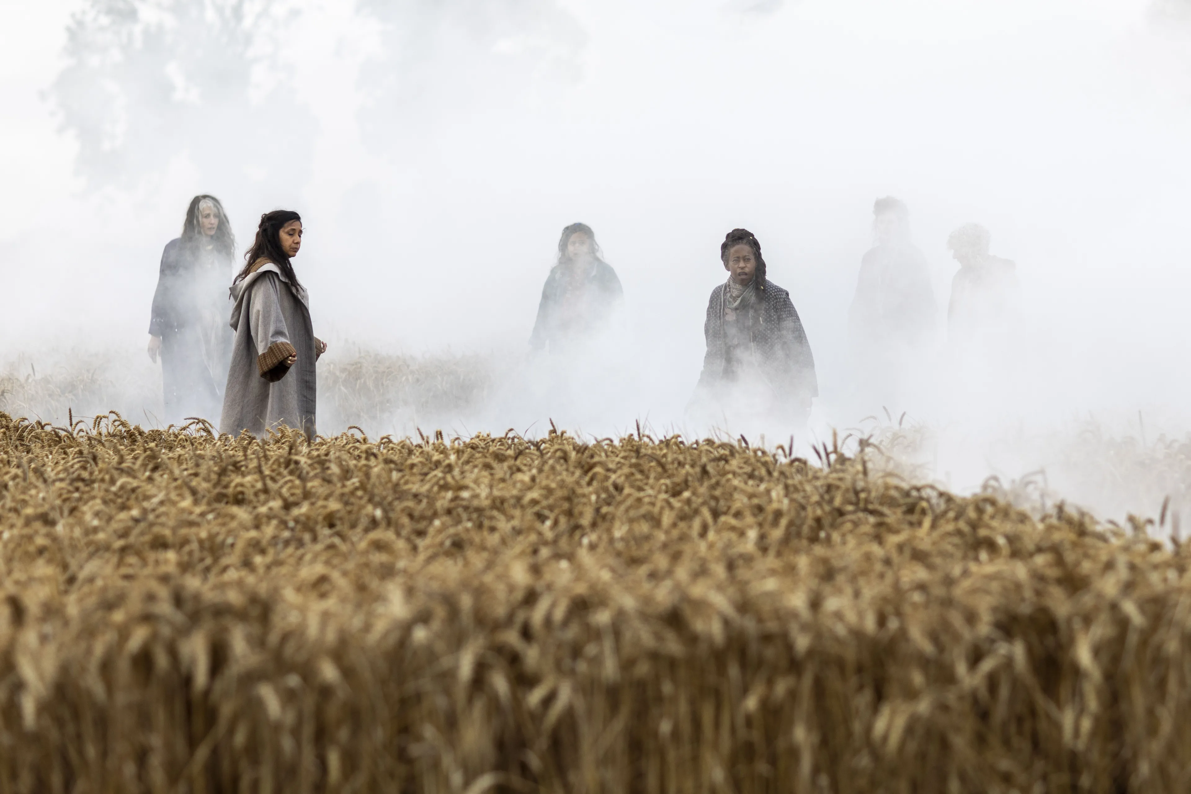 Serialowy hit w polskiej telewizji. Unikatowe połączenie gatunków