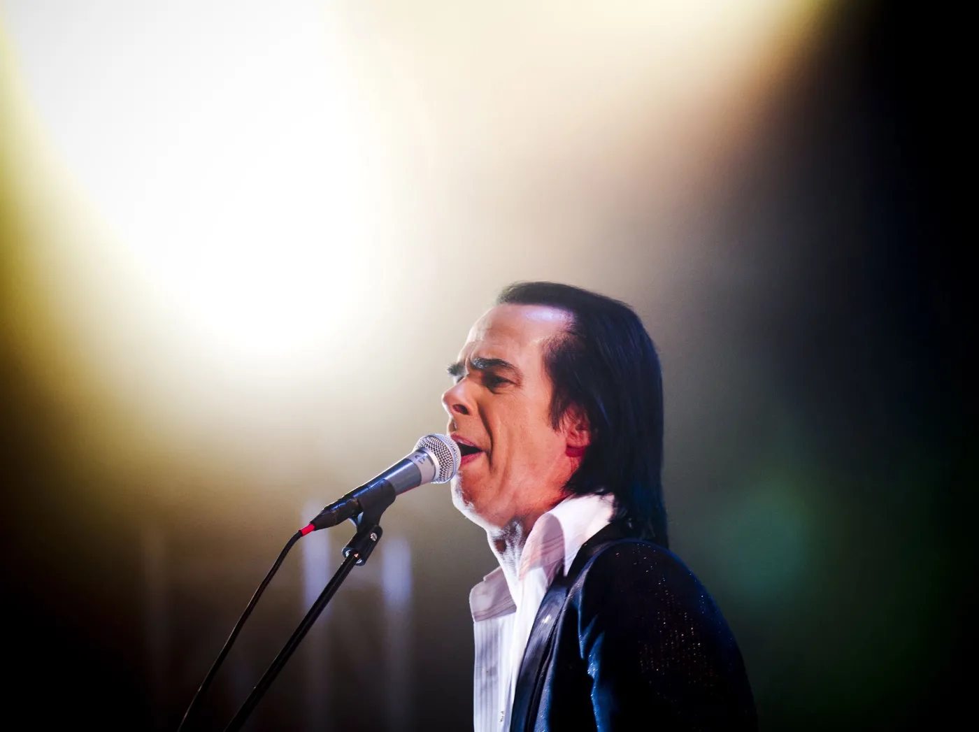 2261353-nick-cave-i-grinderman-na-optimus.jpg