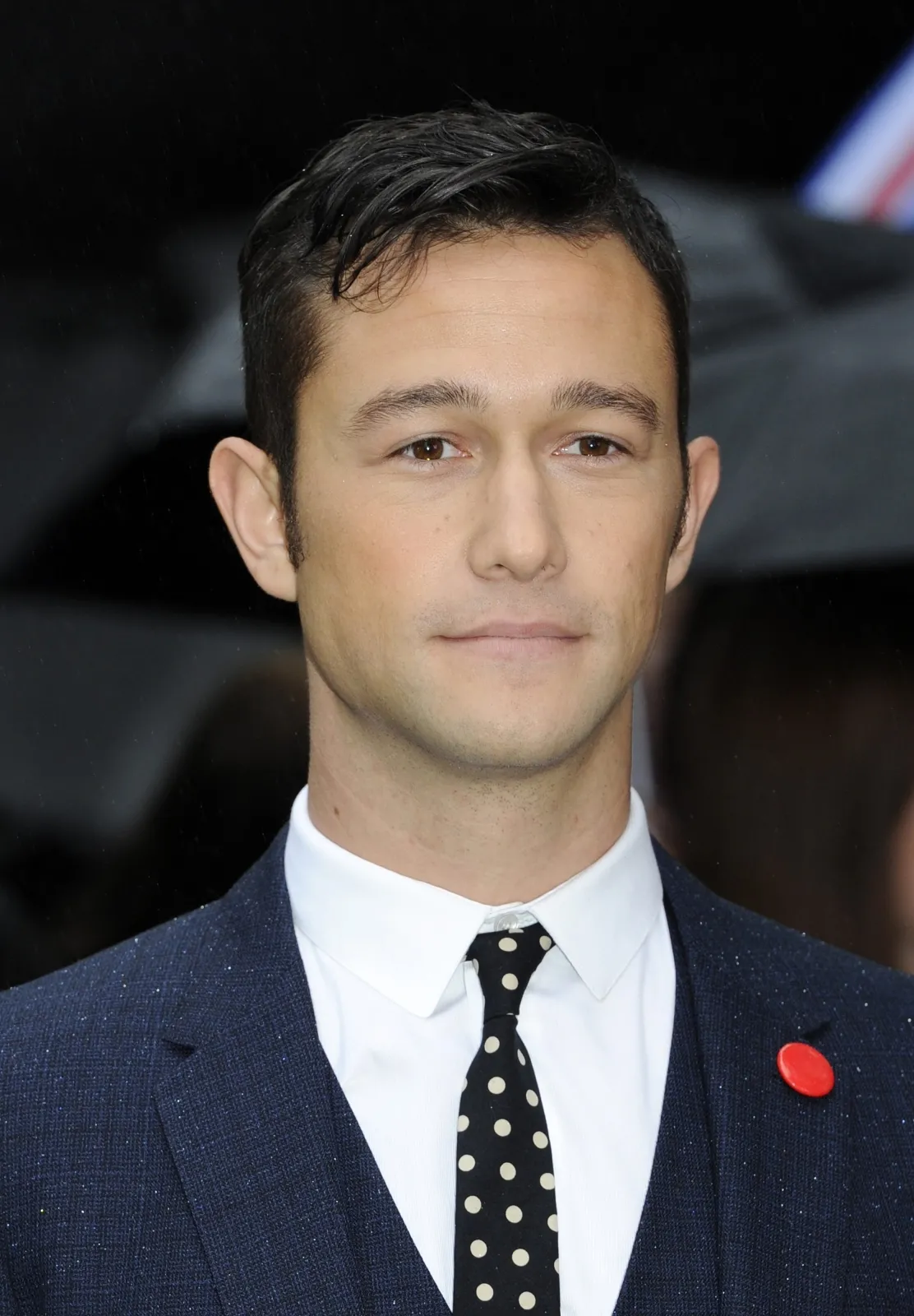 3790258-joseph-gordon-levitt-na-premierze.jpg