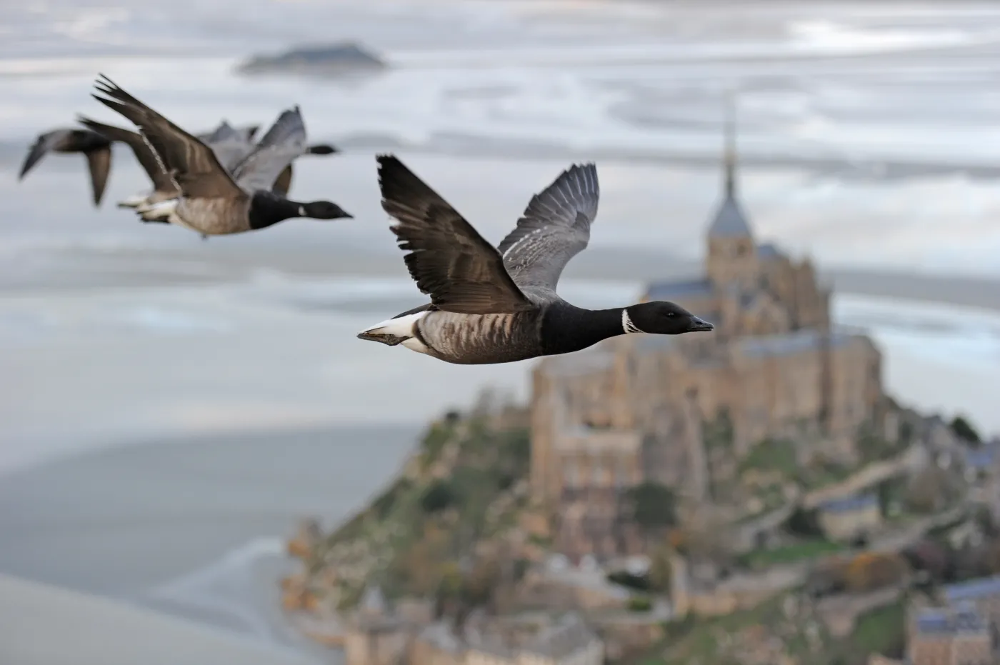 Ptakiem być, świat zobaczyć z góry. ZDJĘCIA