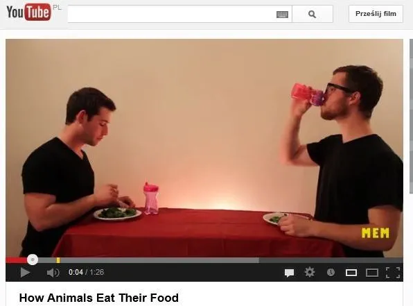 kadr z klipu "How Animals Eat Their Food"