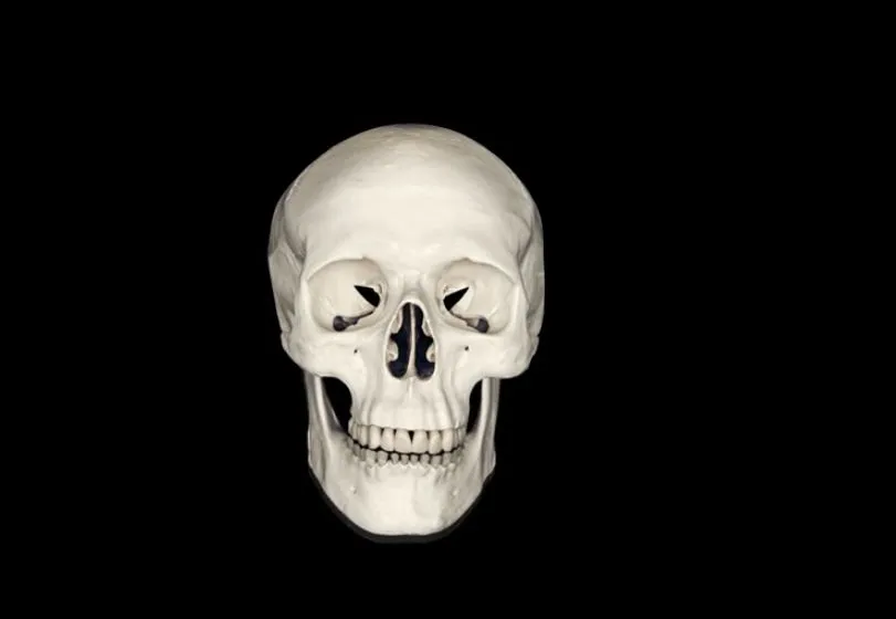 Żenujące i nieśmieszne. Recenzujemy spoty wyborcze polityków. WIDEO