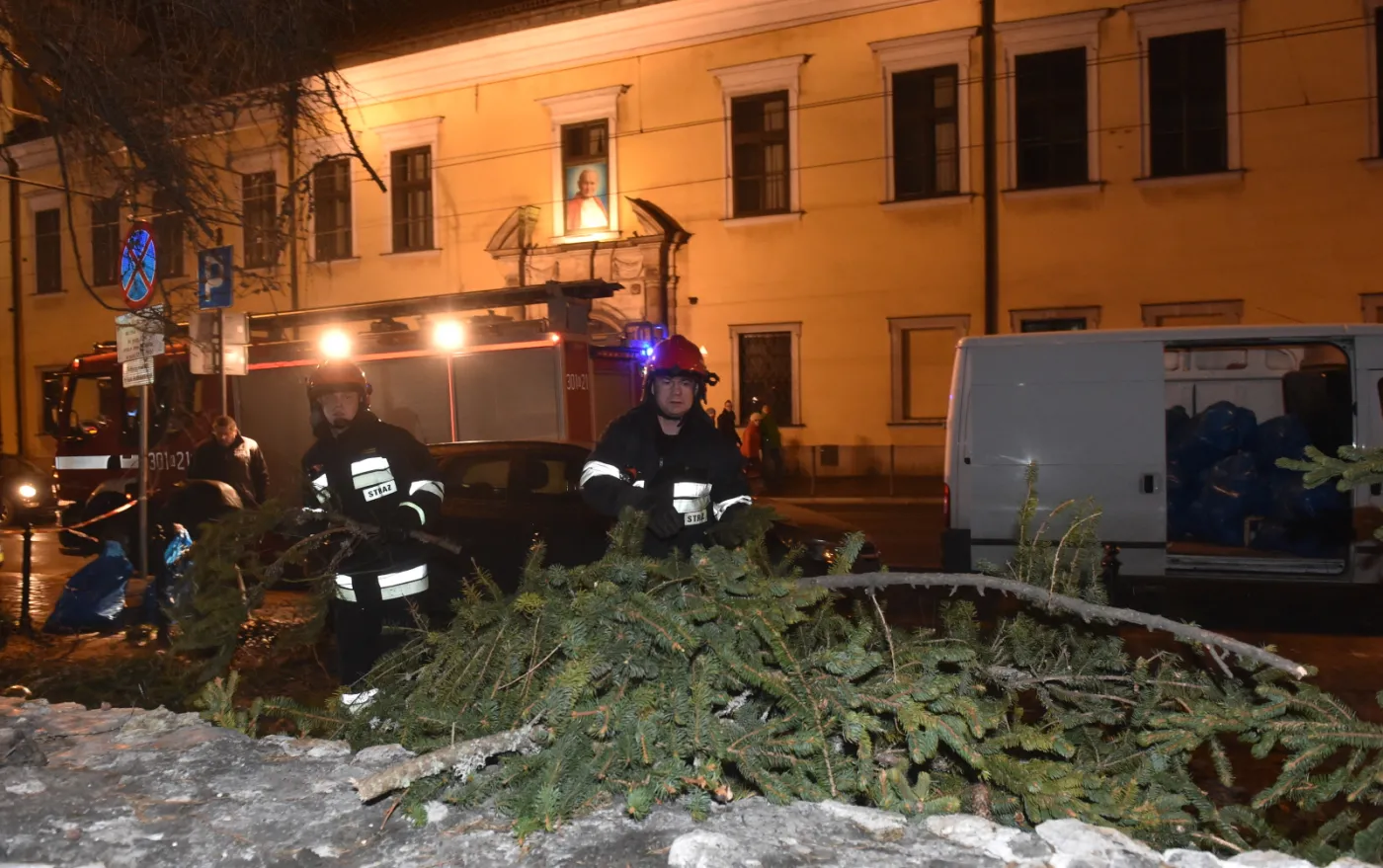 Runęła choinka pod oknem papieskim w Krakowie