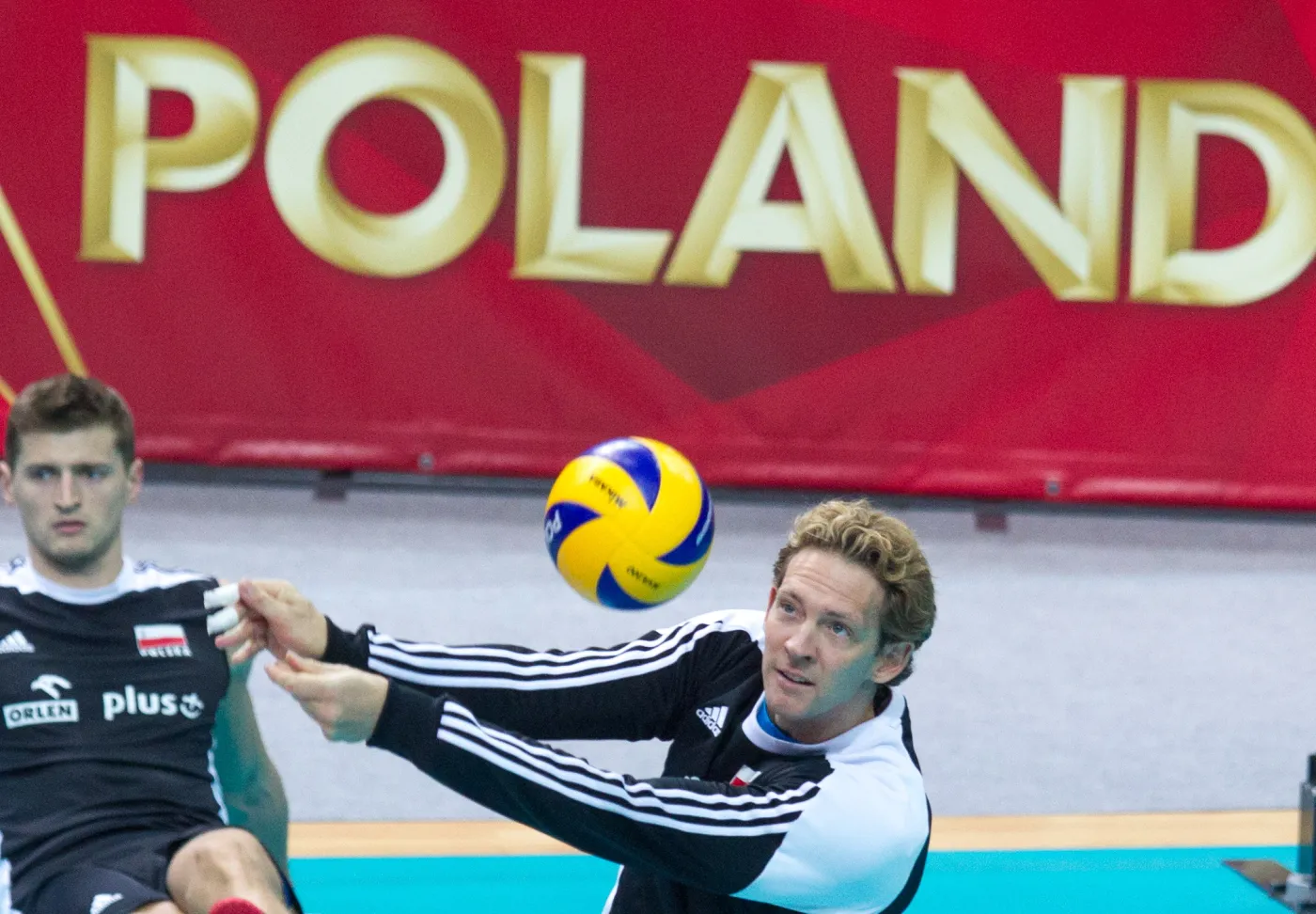 6837542-zoltodziob-ojcem-sukcesu-polskich.jpg