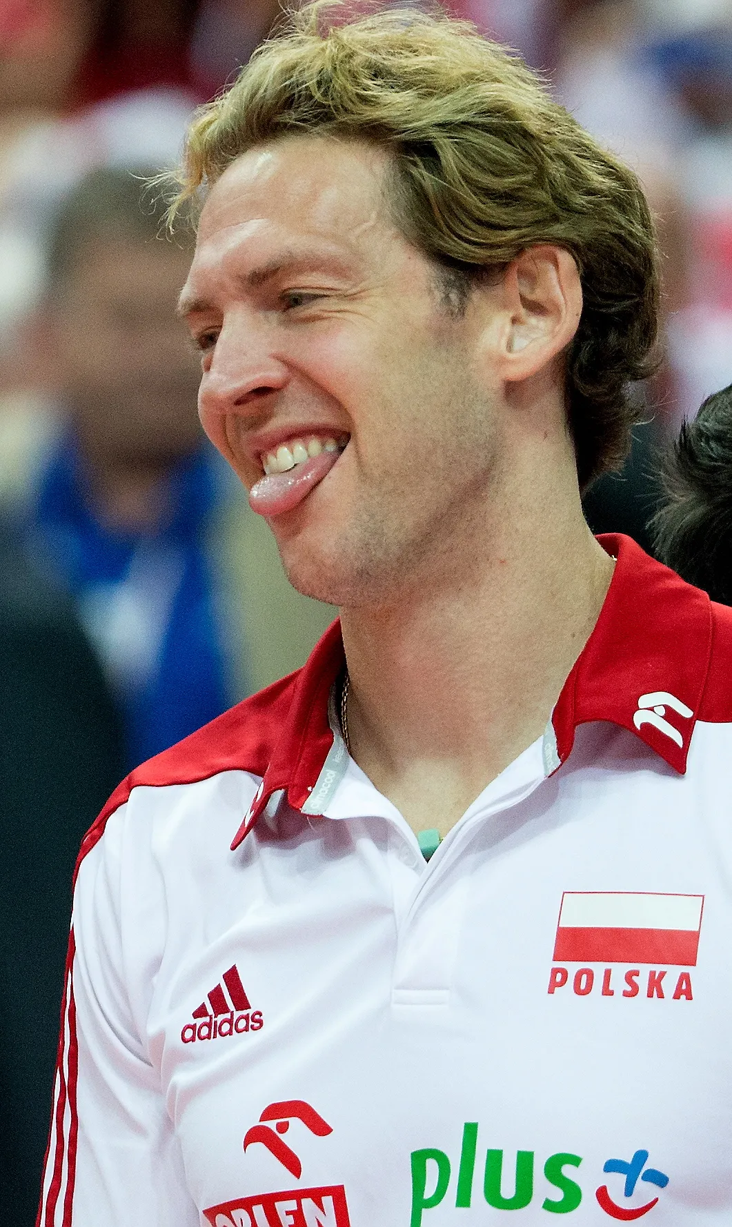 6837629-zoltodziob-ojcem-sukcesu-polskich.jpg