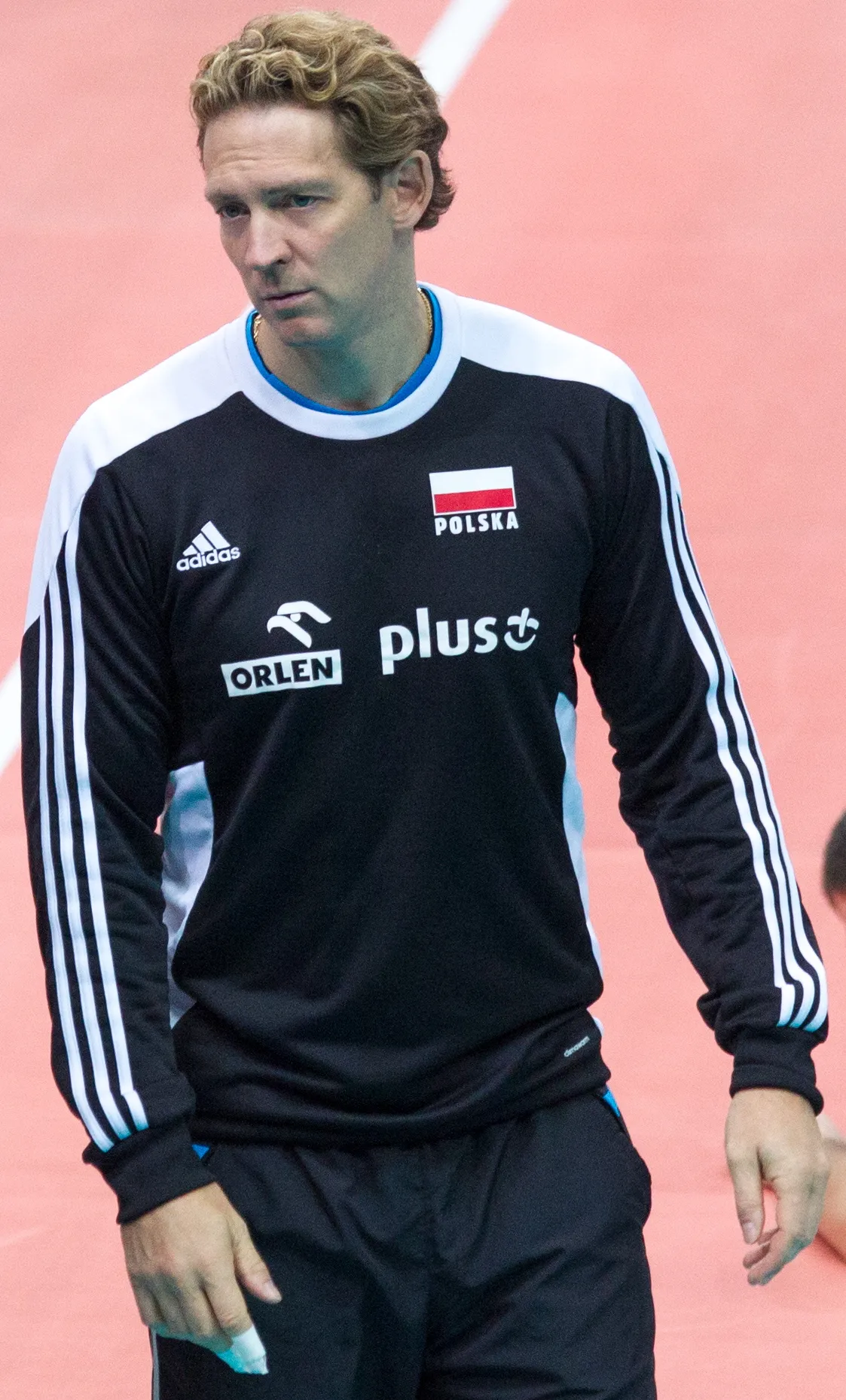 6837658-zoltodziob-ojcem-sukcesu-polskich.jpg