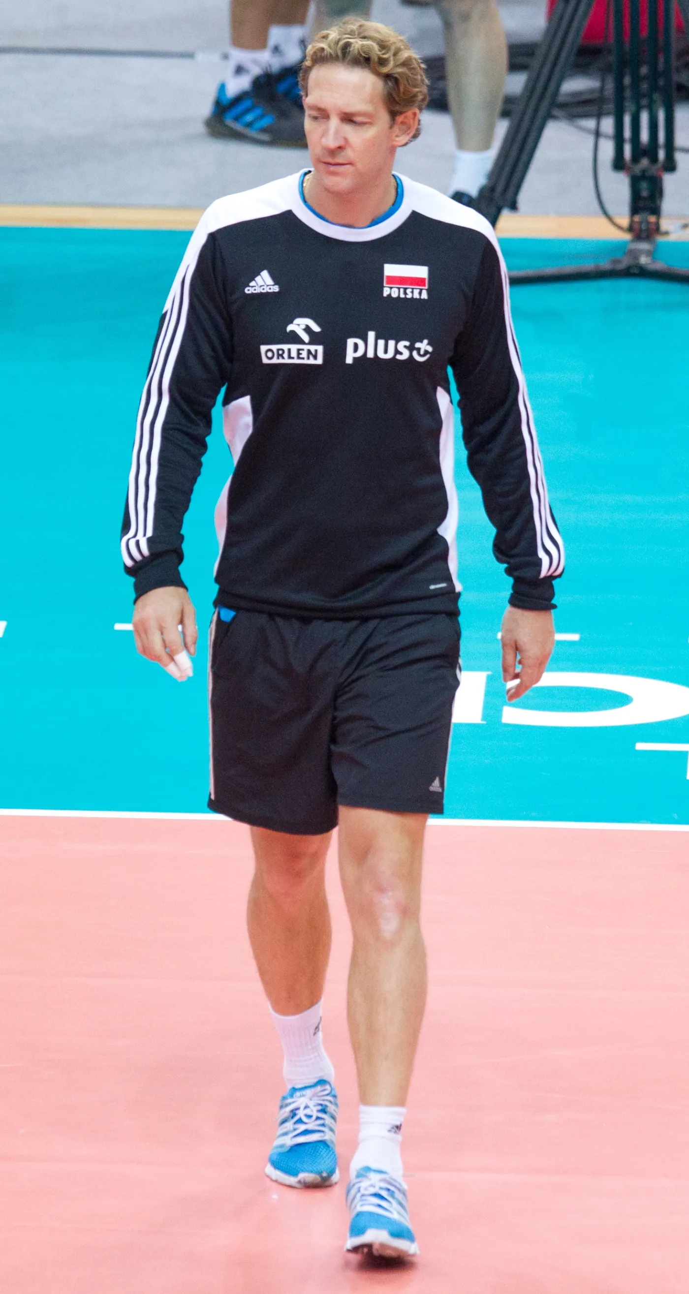 6837716-zoltodziob-ojcem-sukcesu-polskich.jpg