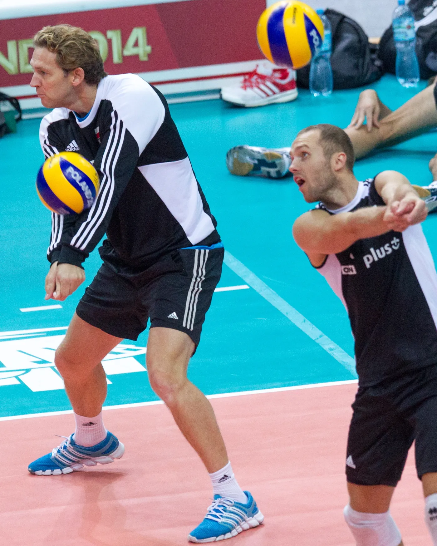 6837832-zoltodziob-ojcem-sukcesu-polskich.jpg