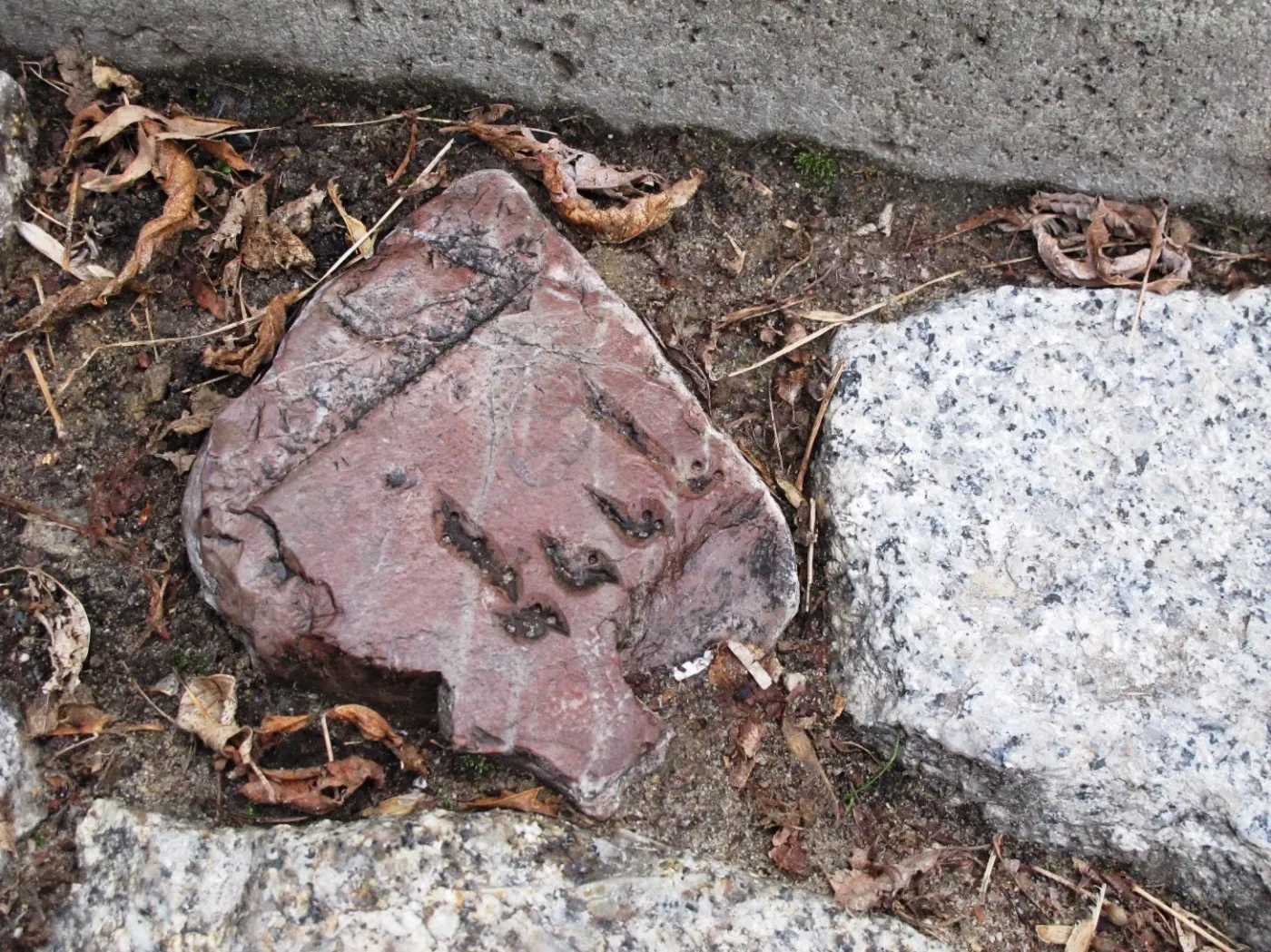 Fundacja "From The Depths" prowadzi poszukiwania macew w całej Polsce