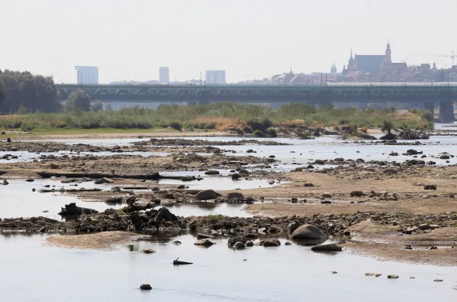 Susza dotknęła 800 tysięcy hektarów upraw. Straty to ok. 550 mln zł!