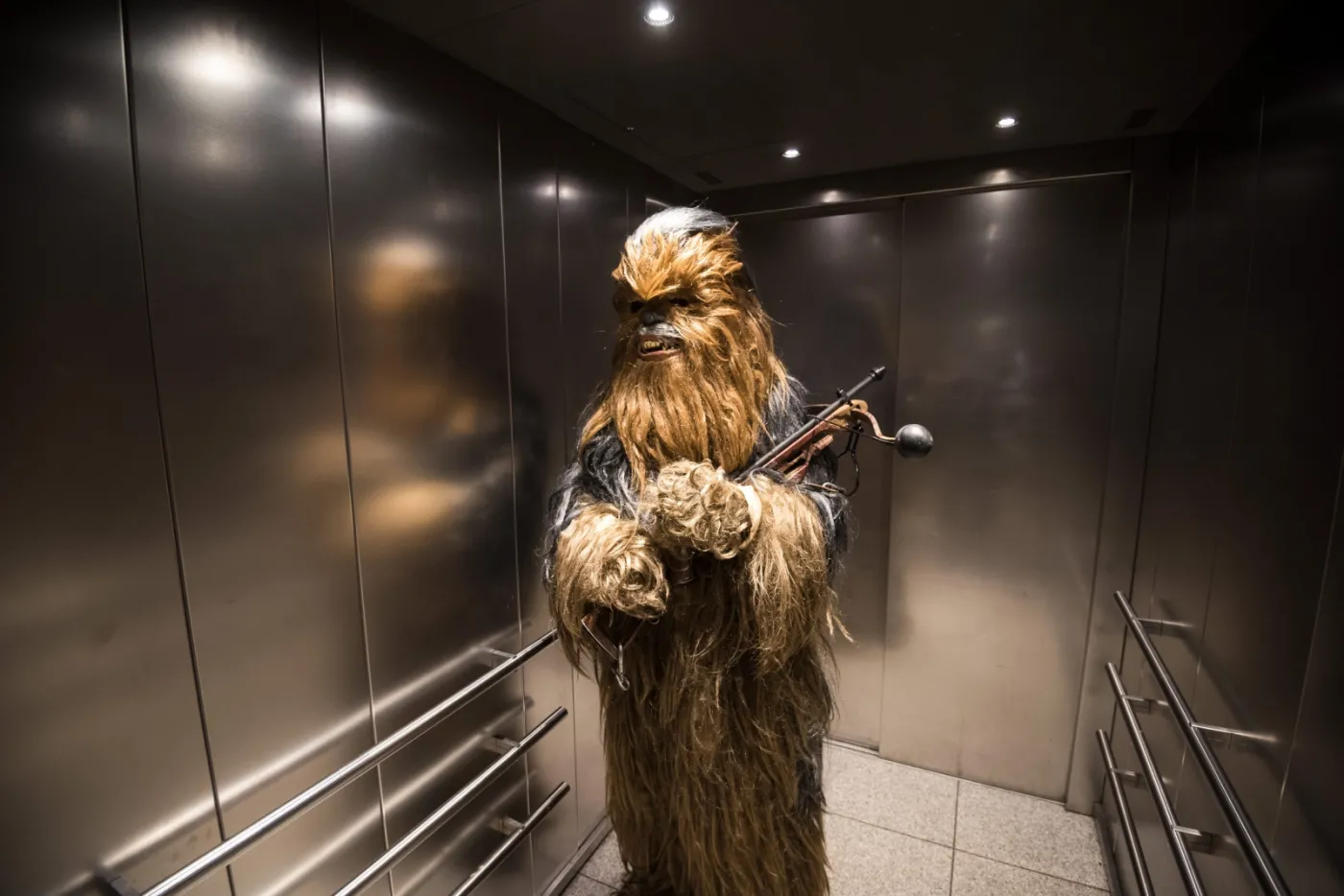 8560690-star-wars-fans-celebrate-screening.jpg
