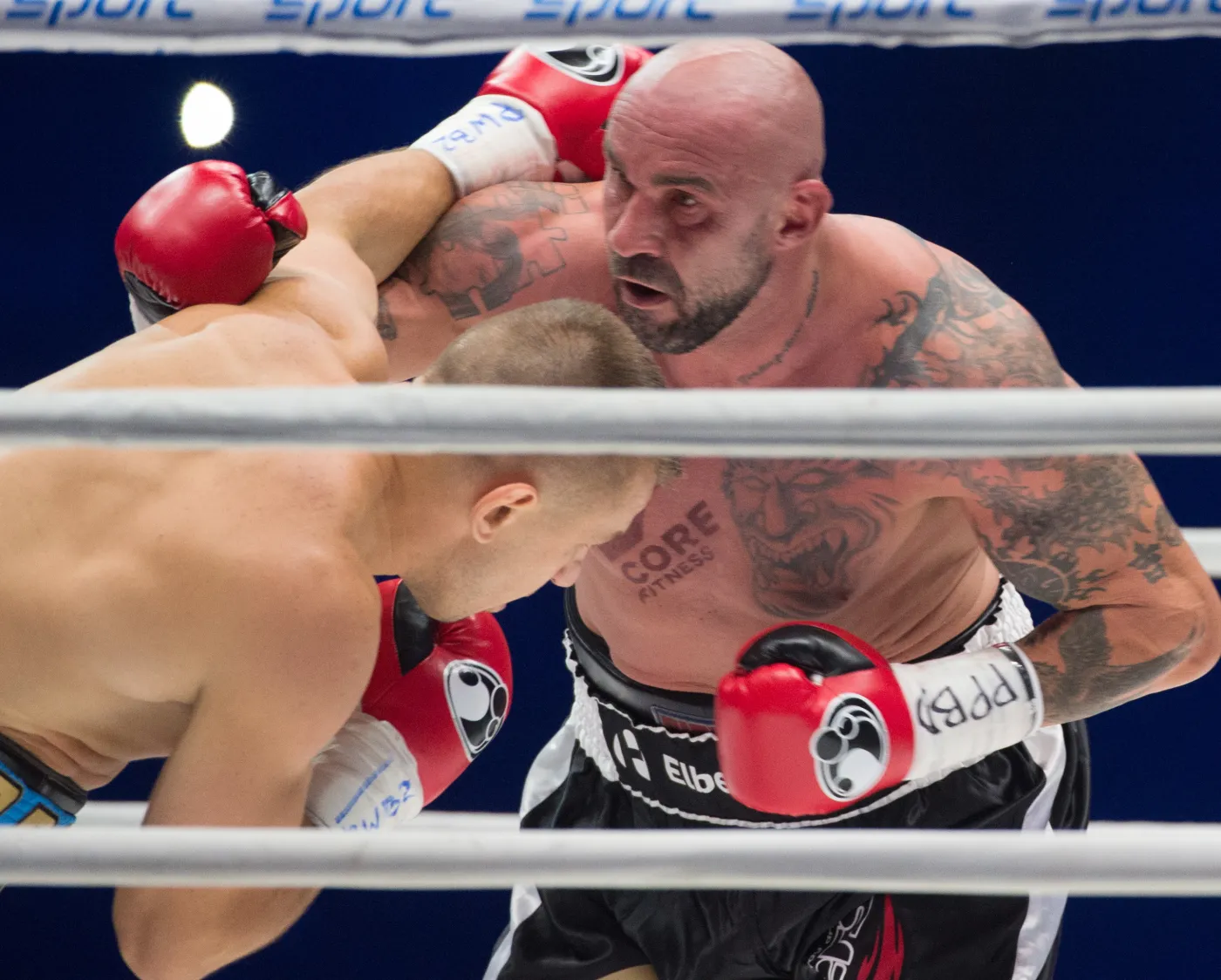 Adamek wygrał przed czasem. Saleta nie wyszedł do ringu po piątej rundzie