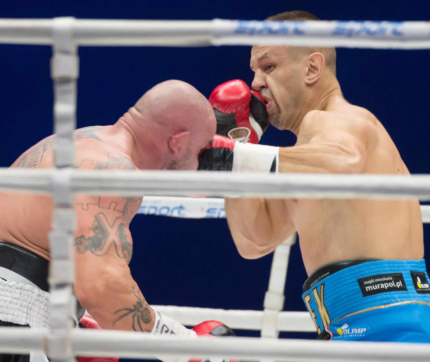 8255859-tomasz-adamek-pokonal-przemyslawa.jpg