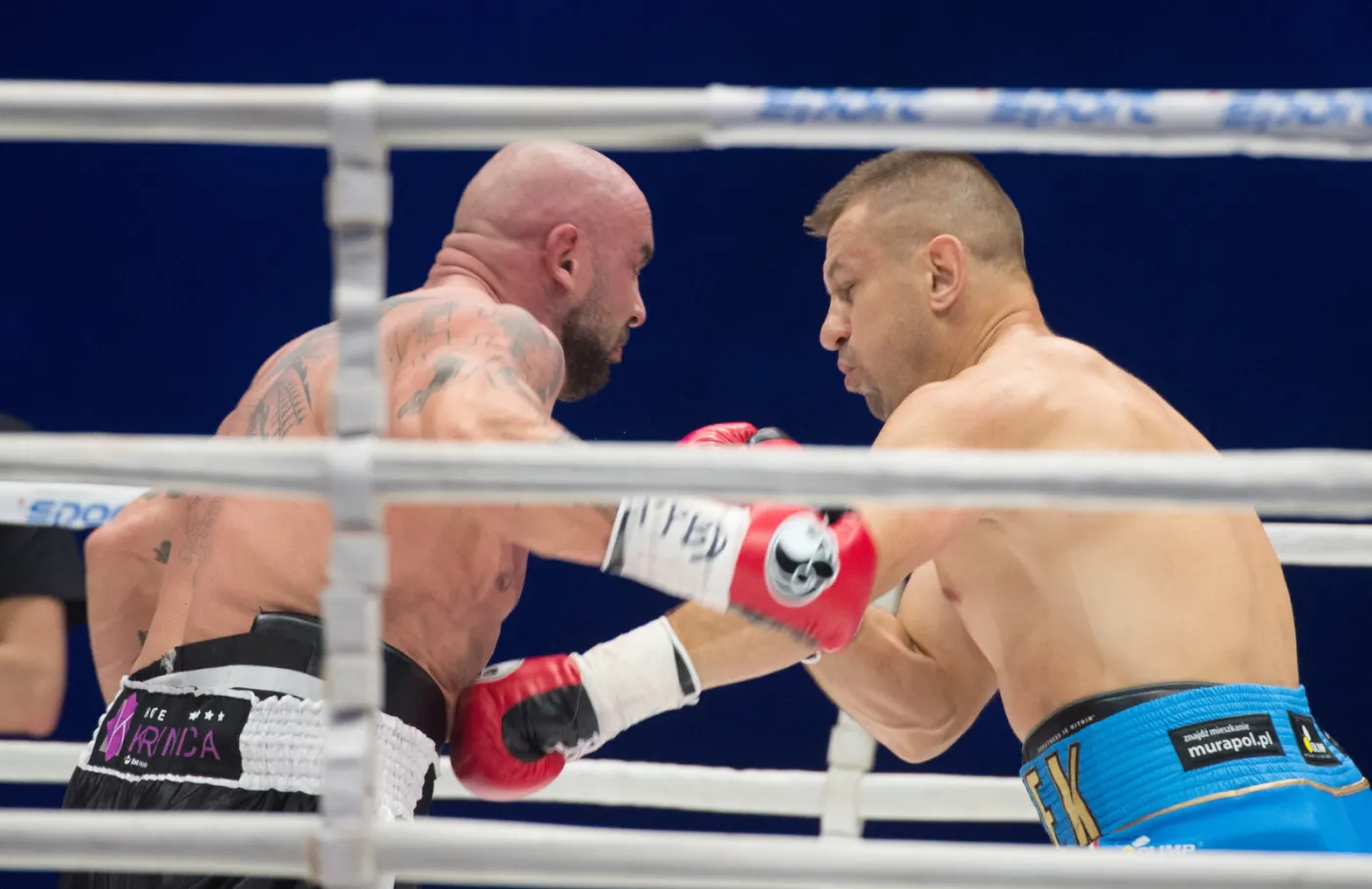 8255955-tomasz-adamek-pokonal-przemyslawa.jpg