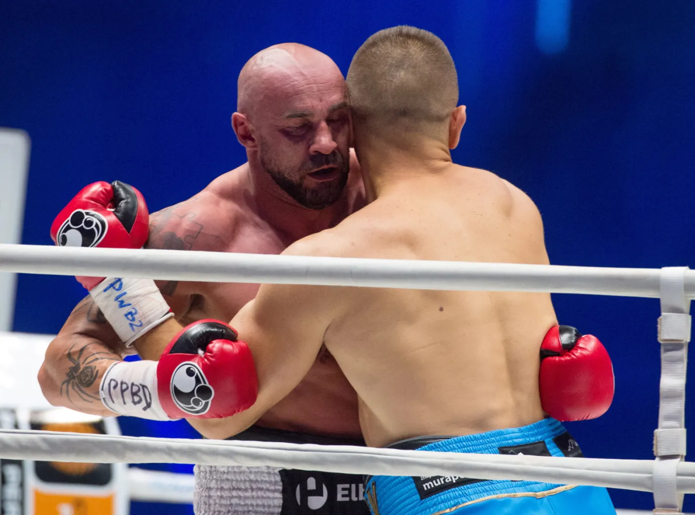8255987-tomasz-adamek-pokonal-przemyslawa.jpg