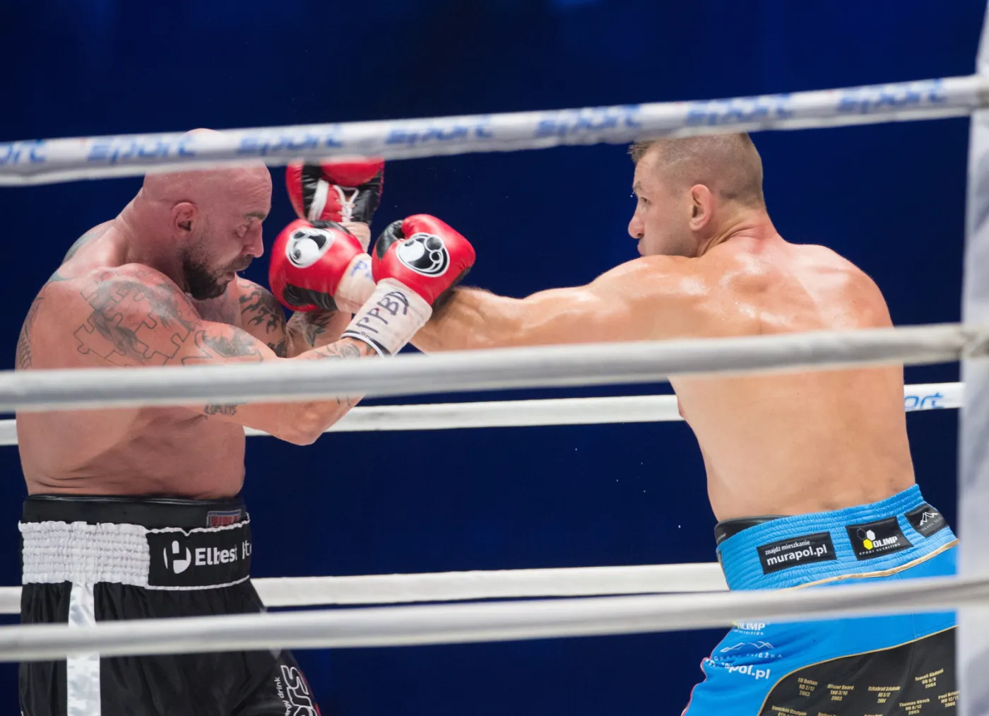 8256083-tomasz-adamek-pokonal-przemyslawa.jpg