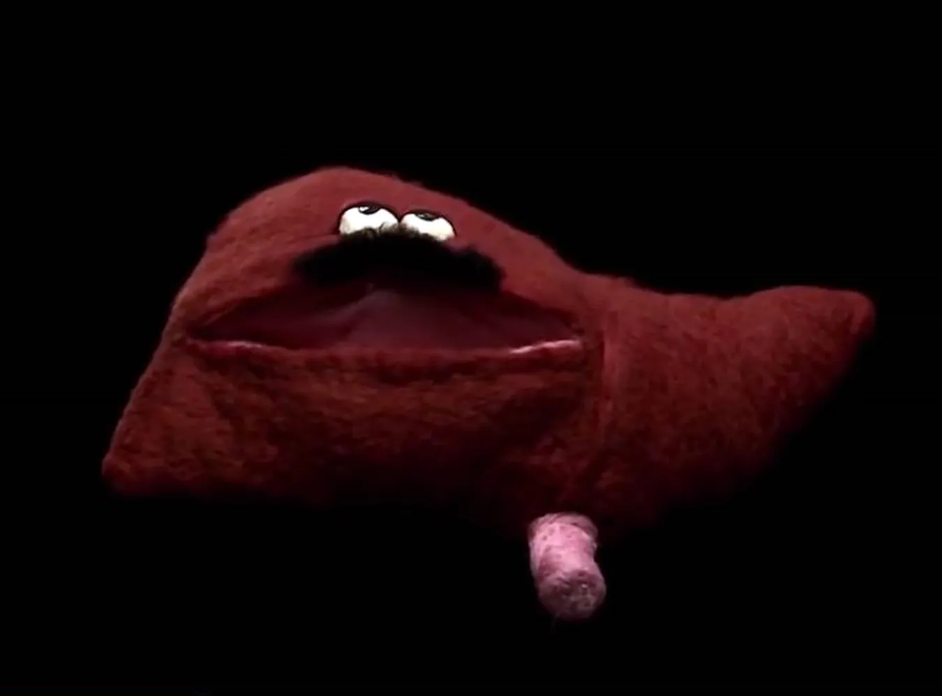 Wątroba z wąsami śpiewa o kielichu u Zdzicha. Świetna piosenka ministerstwa zdrowia