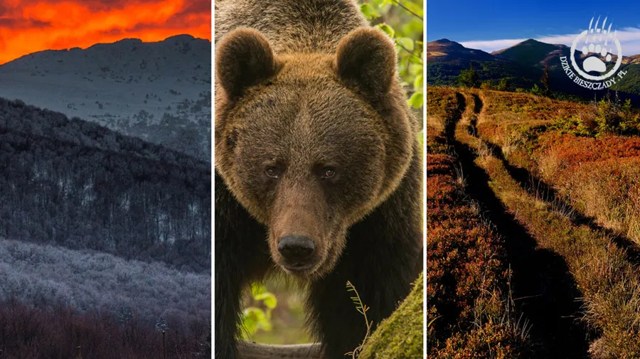 Bieszczady widziane przez Daniela Olkowskiego