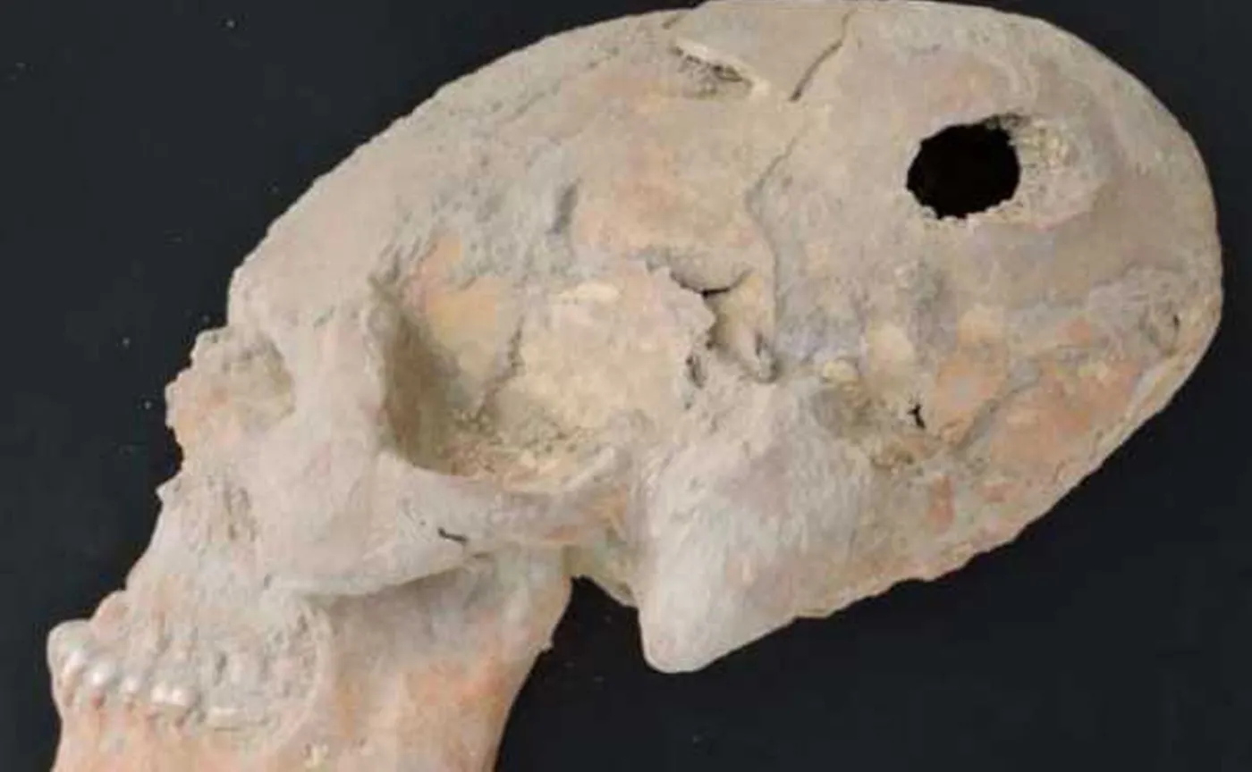 raport Human remains from Ali Kosh, Iran, 2017, dr Arkadiusz Sołtysiak