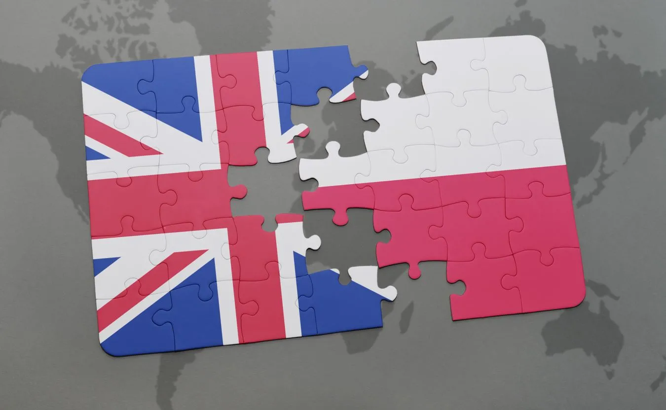 Polska powinna dążyć do porozumienia w sprawie Brexitu. "Jest kluczowe dla bezpieczeństwa obywateli"