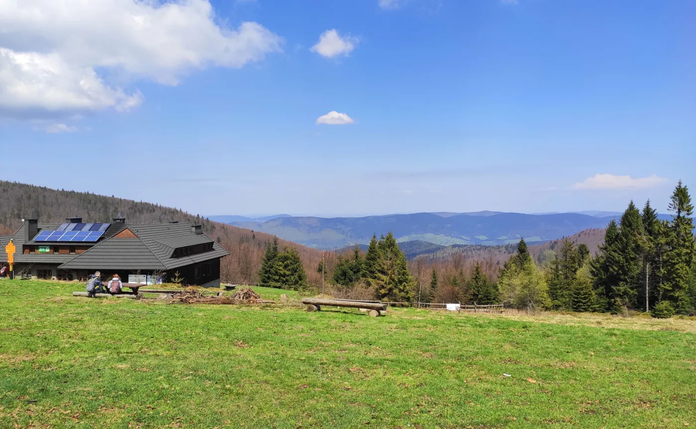 12335399-zdjecie-wykonane-telefonem-xiaomi.jpg