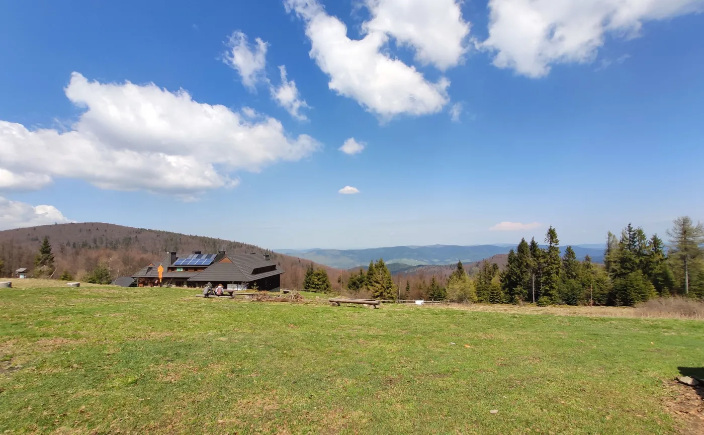 12335431-zdjecie-wykonane-telefonem-xiaomi.jpg