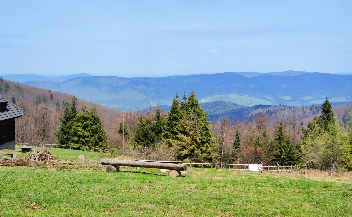 12335463-zdjecie-wykonane-telefonem-xiaomi.jpg