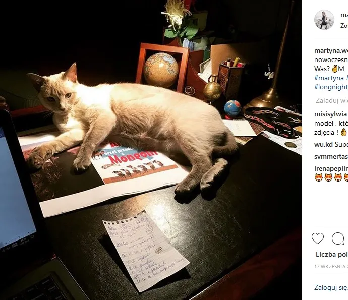 12105860-jak-mieszka-martyna-wojciechowska.jpg